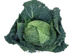 Cavolo Verza